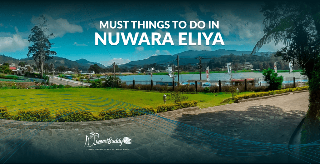 Things must to do in Nuwara Eliya